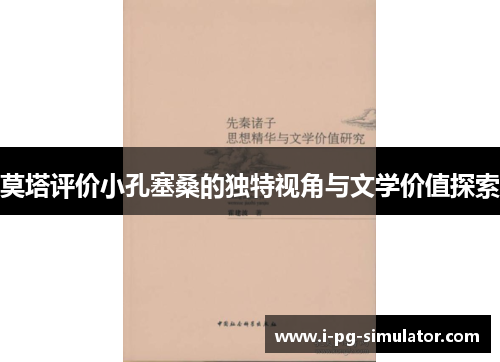 莫塔评价小孔塞桑的独特视角与文学价值探索 莫塔评价小孔塞桑的独特视角与文学价值探索