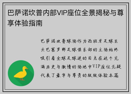 巴萨诺坎普内部VIP座位全景揭秘与尊享体验指南